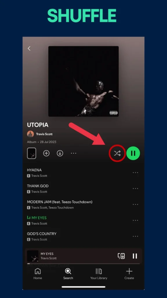 Spotify Premium Shuffel
